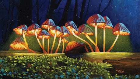 Mushroom Art