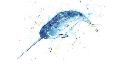 Narwals Art