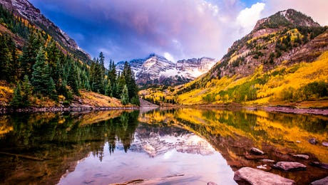 Nature Enthusiasts Art