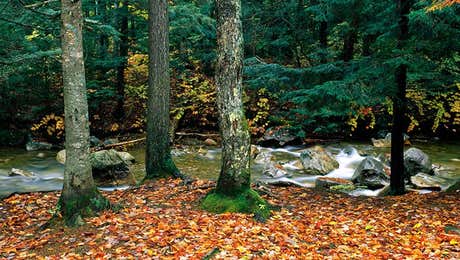 New Hampshire Art