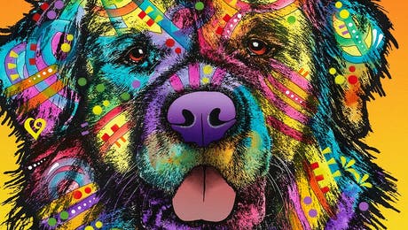 Newfoundland Art