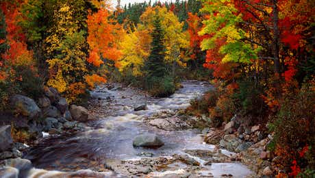 Nova Scotia