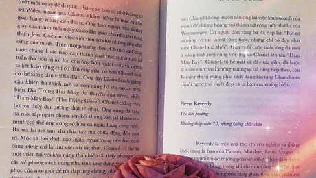 Novel Art