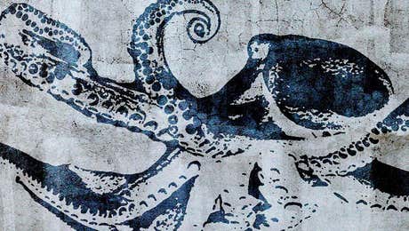 Octopus Art
