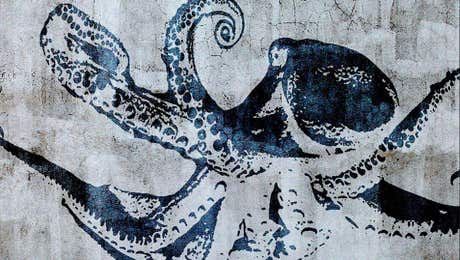 Octopus Art