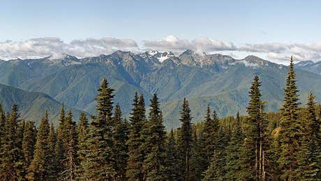 Olympic National Park Art