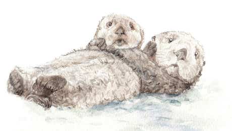 Otter Art