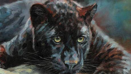 Panther Art