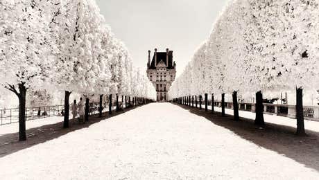 Paris Winter White Collection