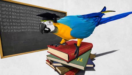 Parrot Art