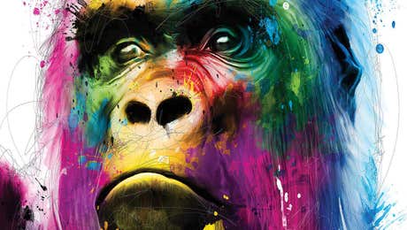 Patrice Murciano