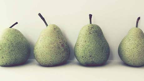 Pear Art