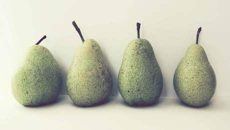 Pear Art