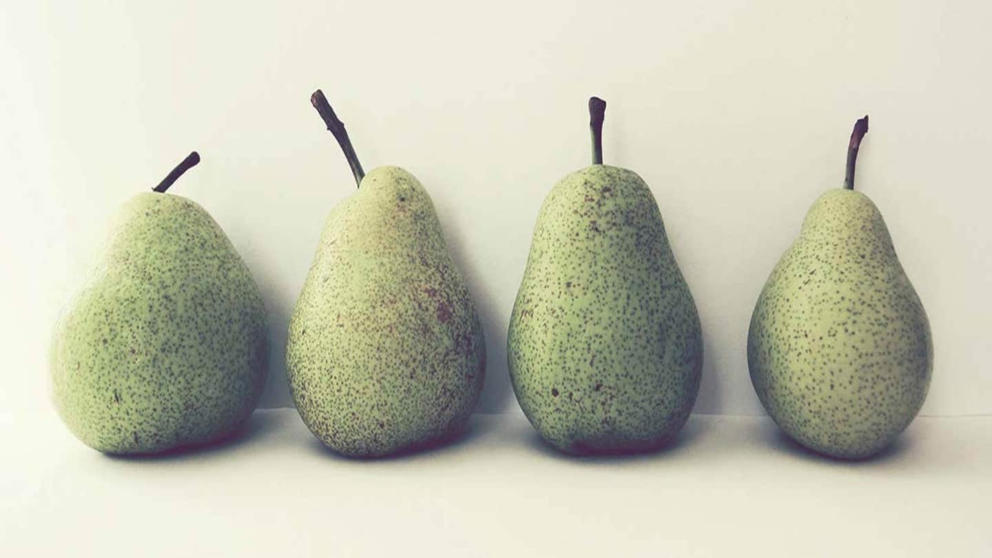 Pear Art - Canvas Prints & Wall Art | iCanvas