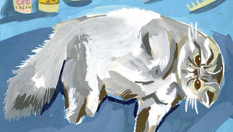 Persian Cat Art