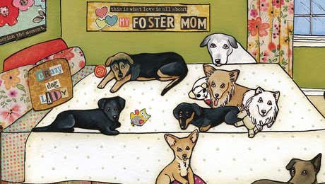 Pet Adoption & Fostering Art