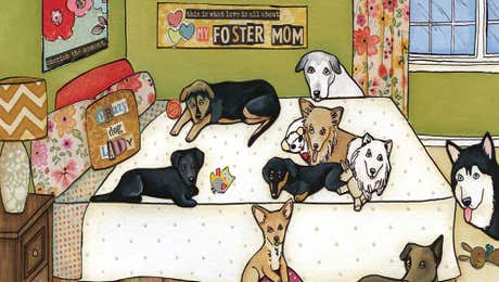 Pet Adoption & Fostering Art