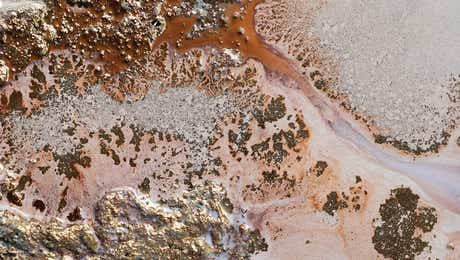 Petra Meikle de Vlas