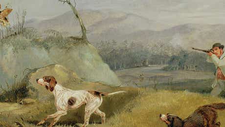 Pointer & Setter Art