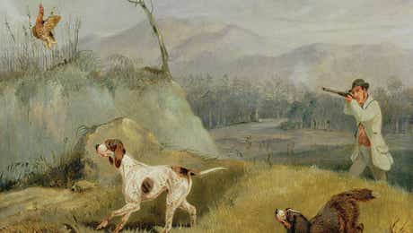 Pointer & Setter Art