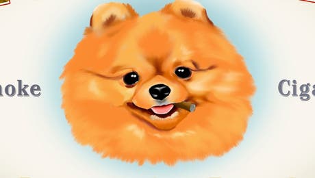 Pomeranian Art