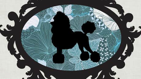 Poodle Art
