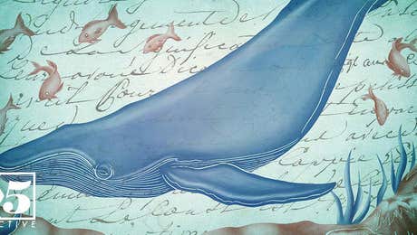 Postcards from the Sea