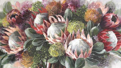 Protea