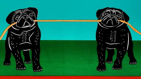 Pug Art