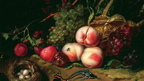 Rachel Ruysch