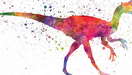 Raptor Art