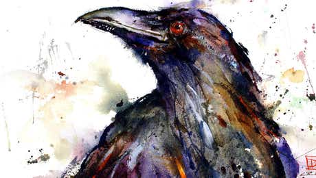 Raven Art