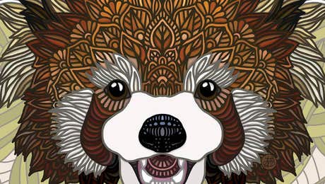 Red Panda Art