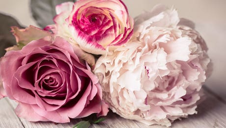 Roses Art