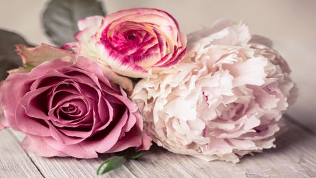 Roses Art