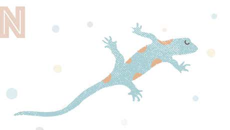 Salamander Art
