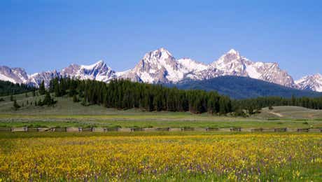 Sawtooth Range Art