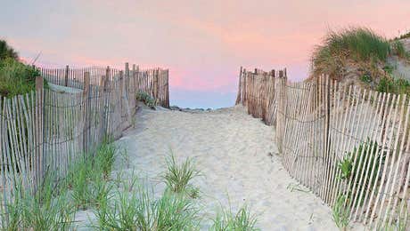 Coastal Sand Dune Art