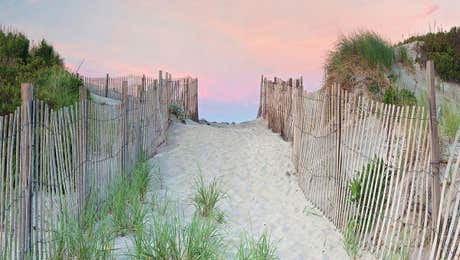 Coastal Sand Dune Art