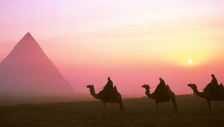 Desert Art