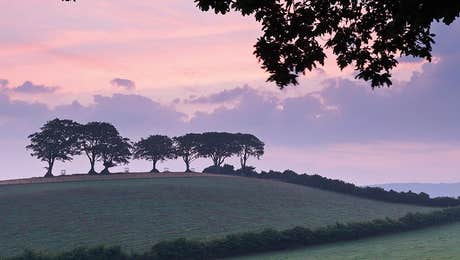 Hill & Hillside Art