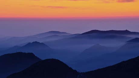 Mist & Fog Art