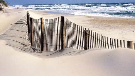 Sandy Beach Art