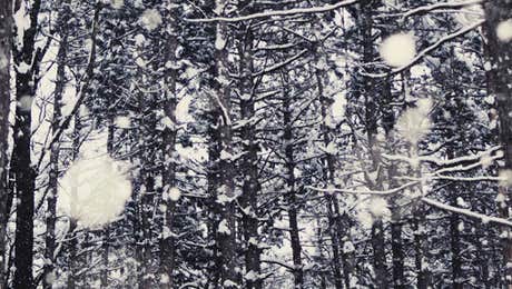 Snow Art