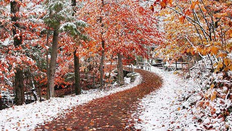 Trail, Path & Road Art