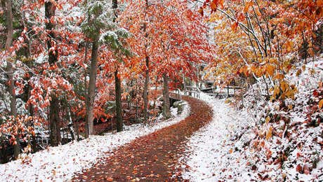 Trail, Path & Road Art