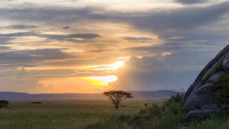 Serengeti