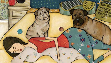 Shar-Pei Art