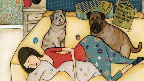 Shar-Pei Art