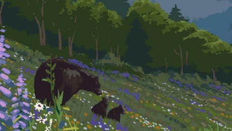 Shenandoah National Park Art